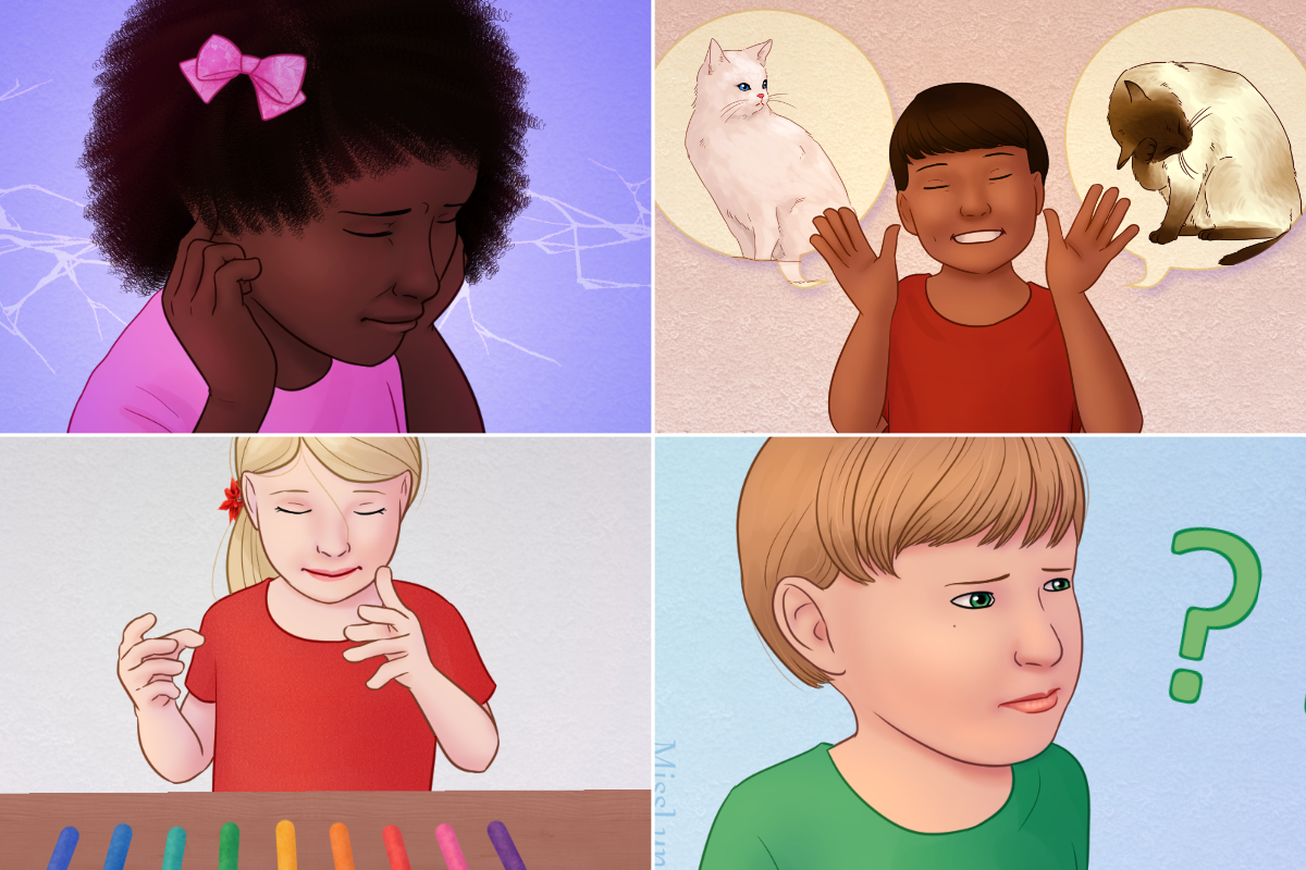 Imagem de referência de espectro autista, descrito nos dados abertos como perturbação do neurodesenvolvimento humano