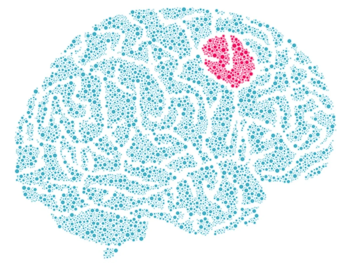 Novo teste promete fazer diagnóstico de tumor cerebral cair para duas horas