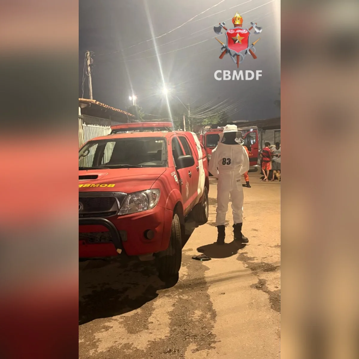 Enxame de abelhas invade residência em Taguatinga e mobiliza bombeiros