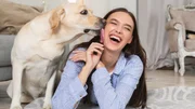 Com a chegada da primavera, cães podem sofrer mais com coceira e alergias