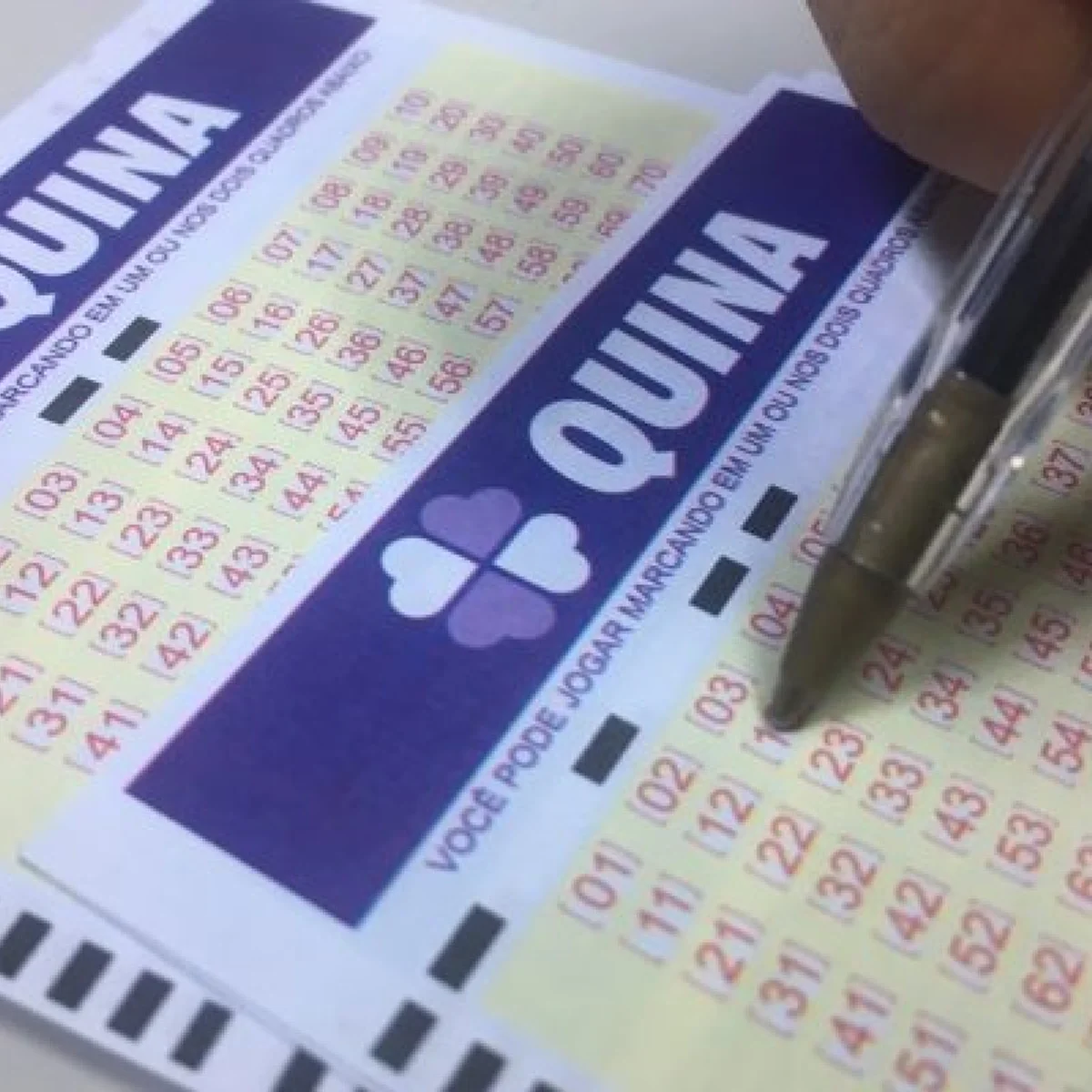 Quina: duas apostas do DF acertam quatro números e levam R$ 11,2 mil cada