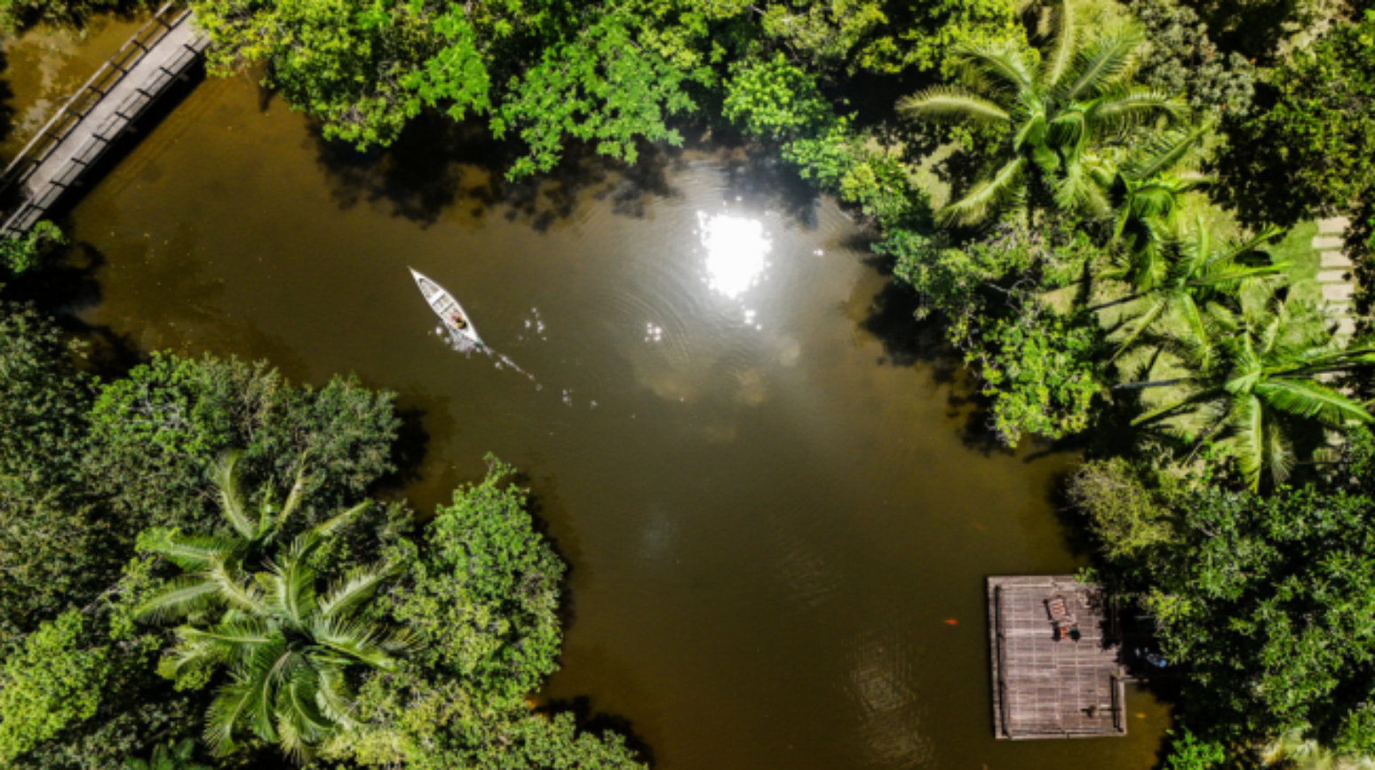Amazônia vista de cima