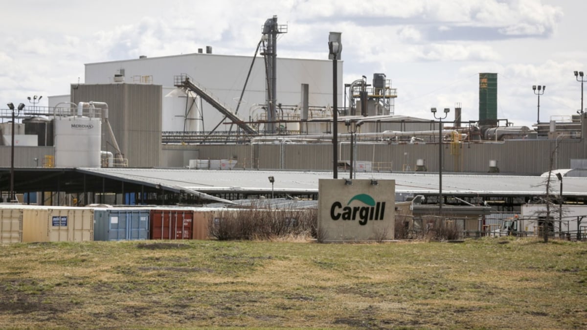 New report calls Alberta’s response to Cargill plant COVID-19 outbreak a ‘catastrophic failure’