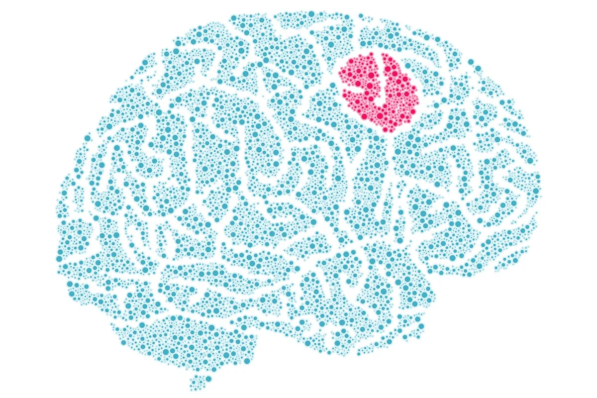 Ilustração de tumor cerebral - Neurologista explica sintomas comuns que podem indicar tumor cerebral - Metrópoles