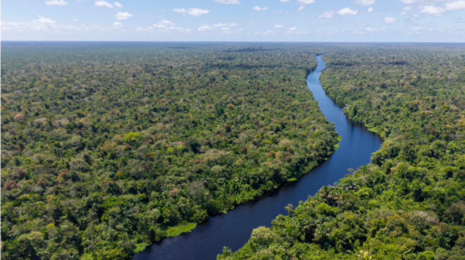 Agenda climática aparece em 12 das 13 propostas dos candidatos à Presidência da República