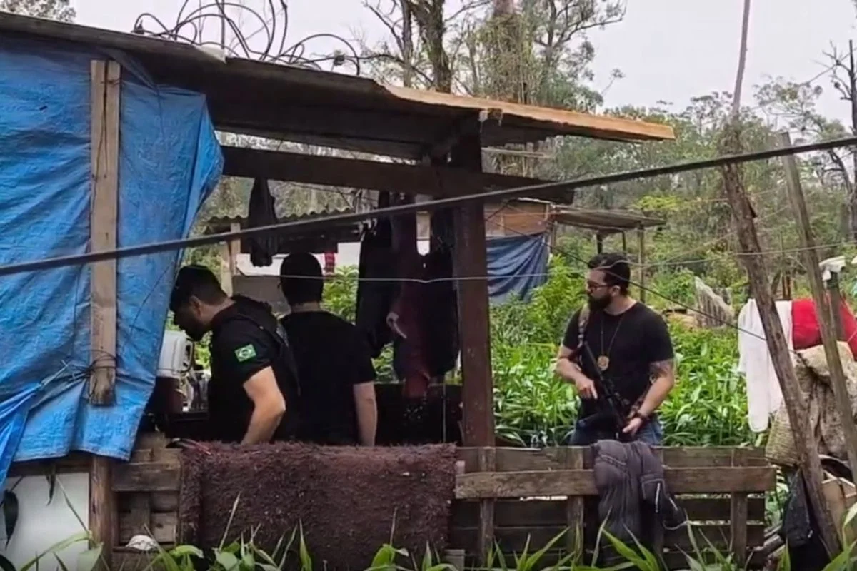 Menina de 2 anos é morta a golpes de martelo pelo irmão enquanto brincava