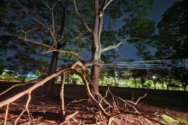 Árvore cai sobre rede elétrica e deixa sem luz parte do Parque da Cidade