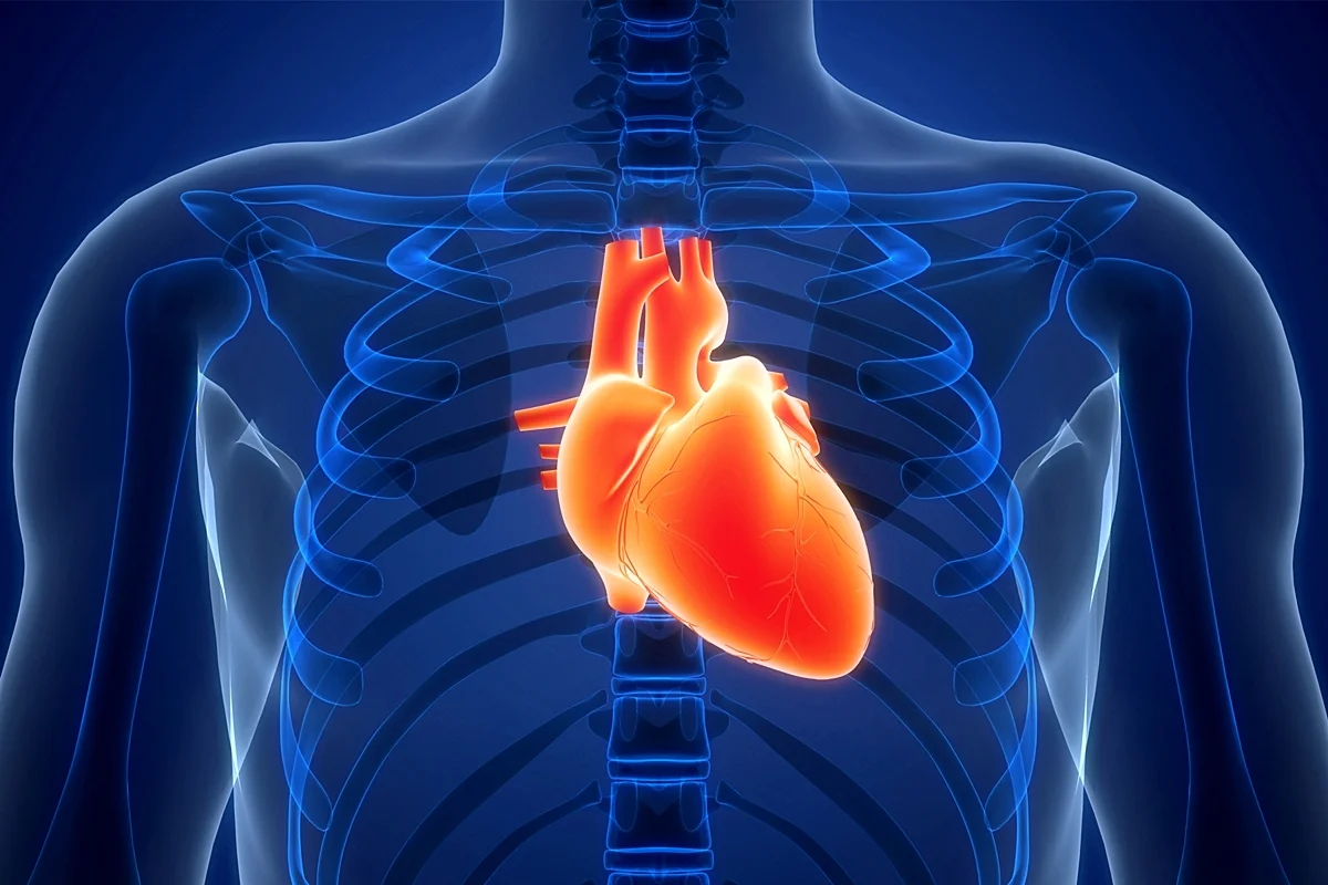 Ilustração colorida de coração - Metrópoles