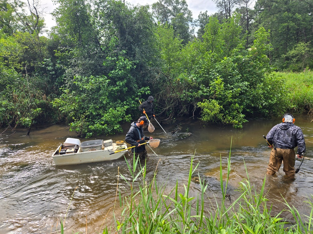 Imagem relacionada à notícia: Fort McCoy faz parceria com WDNR para reabastecer o esculpir maculado no fluxo local de truta
