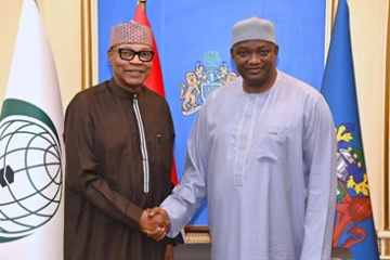 IDEAS briefs Barrow on election peace efforts