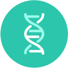 Olfato tem “via expressa” no cérebro que liga cheiros a memórias
