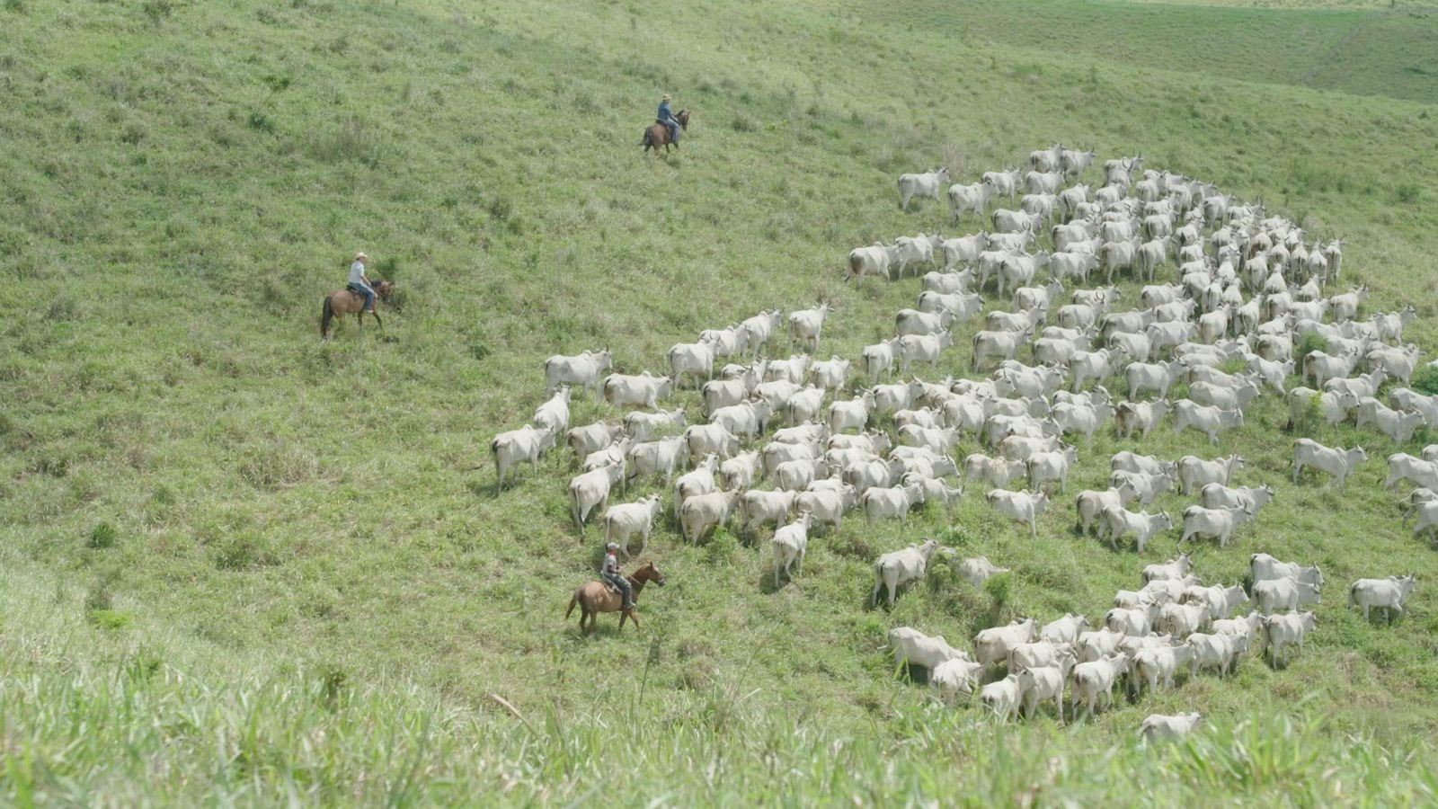 Fazenda Recanto, em Chã Preta, no interior de Alagoas Foto cedida: Fazenda Recanto