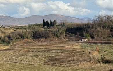 Vinhos dos Bálcãs: rótulos ainda pouco conhecidos no Brasil ganham destaque internacional