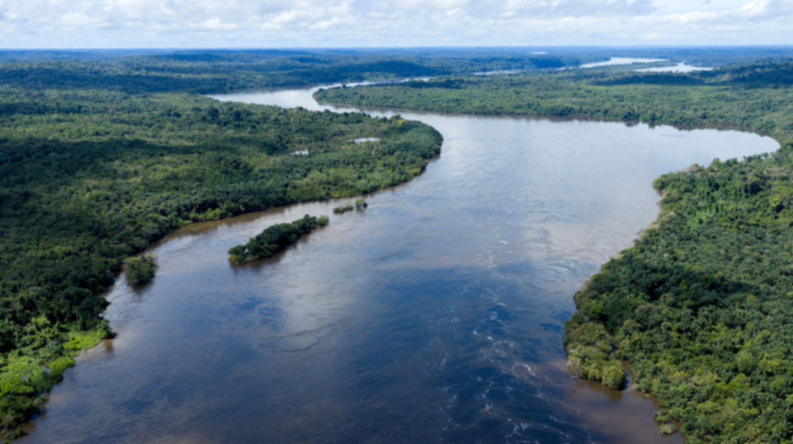 Presidenciáveis apresentam propostas para o meio ambiente em seus planos de governo