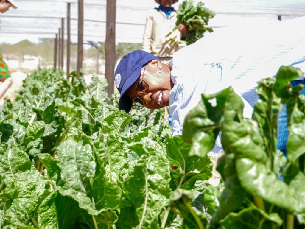 A agricultura é o segundo maior motor da economia