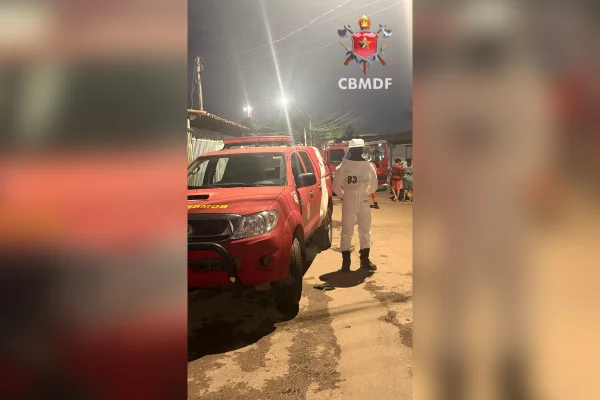 Enxame de abelhas invade residência em Taguatinga e mobiliza bombeiros - destaque galeria