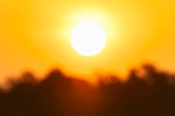 Alerta vermelho: onda de calor atinge oito estados a partir de sábado