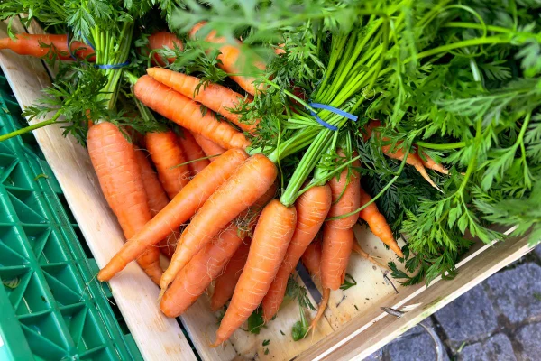 Nutricionista ensina como aliviar o intestino preso de forma natural