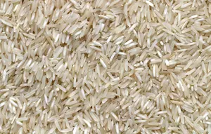 HP Kena Air Direndam Beras Justru Berbahaya, Ini Faktanya