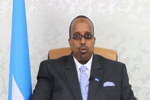 Concentration of Political Power and Inclusive Power-Sharing in Somalia