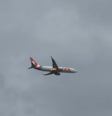 Avião da Gol colide com pássaro e tem que voltar ao Aeroporto Internacional de Recife (PE) Foto: Reprodução / X
